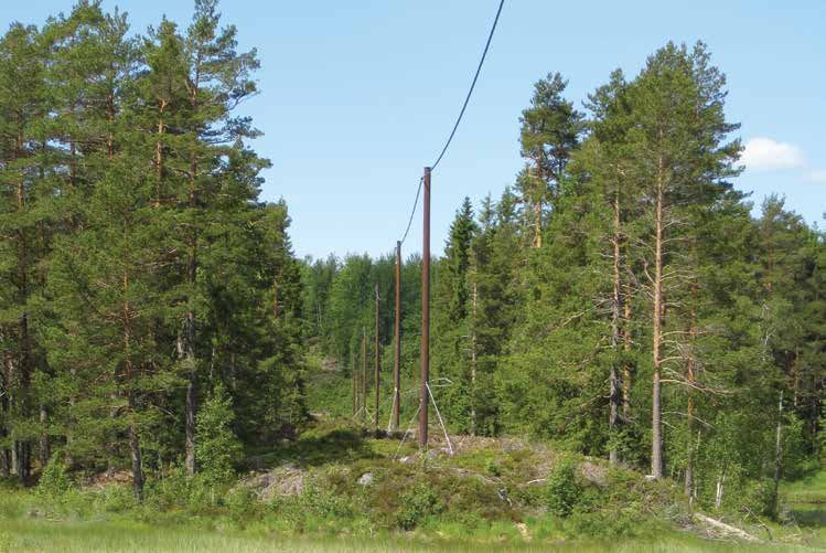 Linjetrasé/trasévalg Da EXCEL, FXCEL og AXCES er en fullisolert og berøringssikker kabel vil behovet for ryddebelte bli svært redusert. Lovverket sier 0,5 m til busker og trær.
