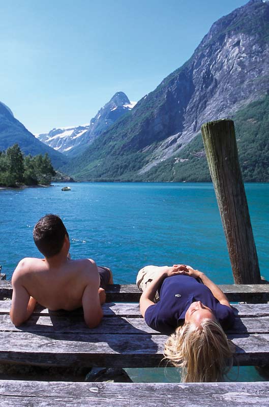 Region Sogn består av kommunane Luster, Årdal, Lærdal, Aurland, Sogndal, Leikanger, Vik og Balestrand.