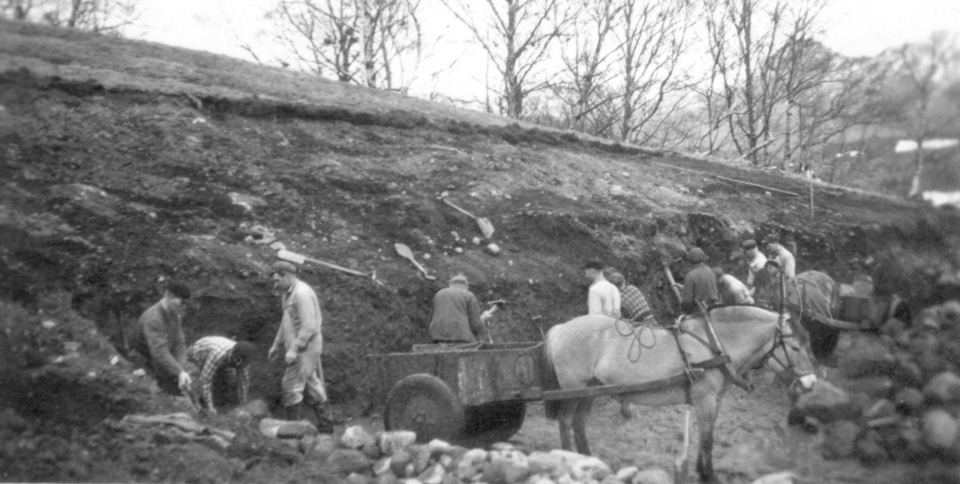 UTGRAVING AV HUSGRUNN Dugnadsfolk grev ut grunnen til fjoset åt Agerton Asheim i 1951.