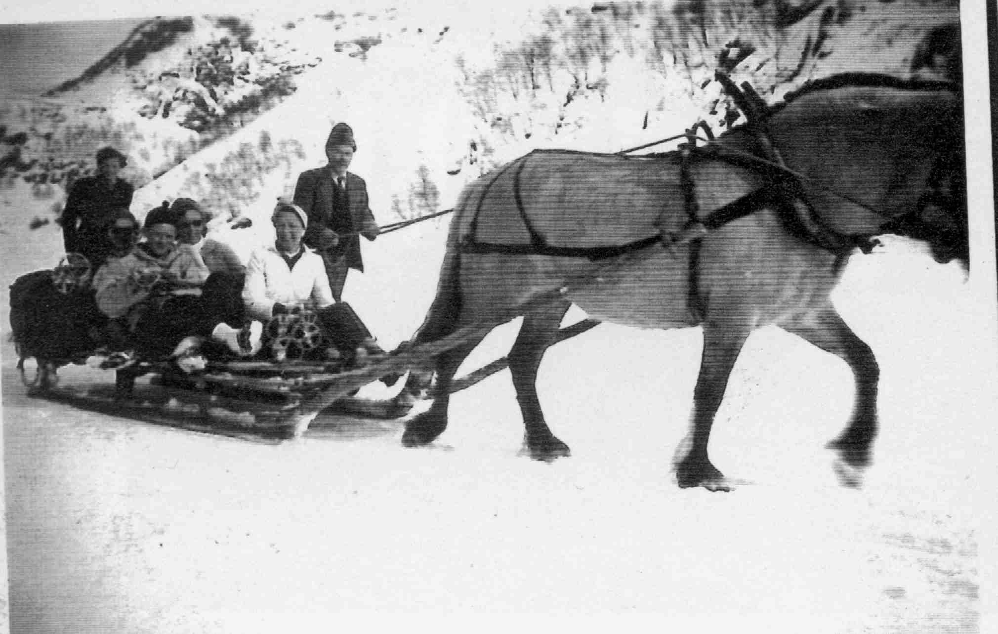 VINTERKJØRING Tor Maudal er i Dirdal etter eit sledelass med kraftfor i 1946.