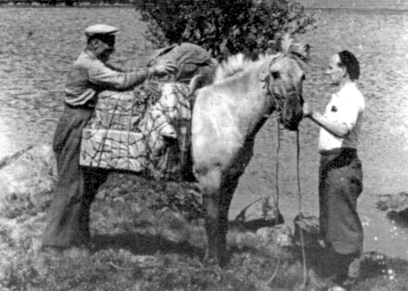 HESTERIDNING Heim fra jakt i Maudal med et knippe ryper. Foto: Gabriel Berner Espeland I uminnelige tider har hesten blitt benyttet under jakt og som ridehest eller kjørehest.