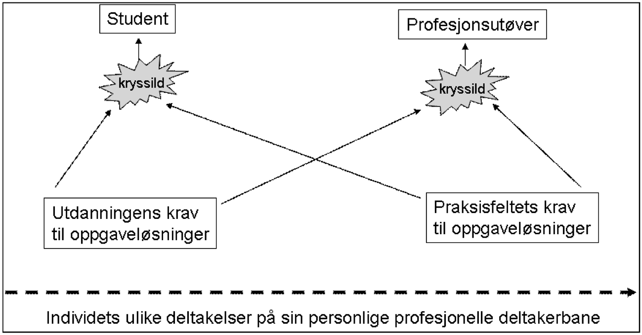 REFEREEBEDØMT ARTIKKEL slike krav påvirkes også av den profesjonelle personens tidligere erfaring fra deltakelse i ulike praksiser samt den aktuelle konteksten som oppgavene skal løses innenfor.