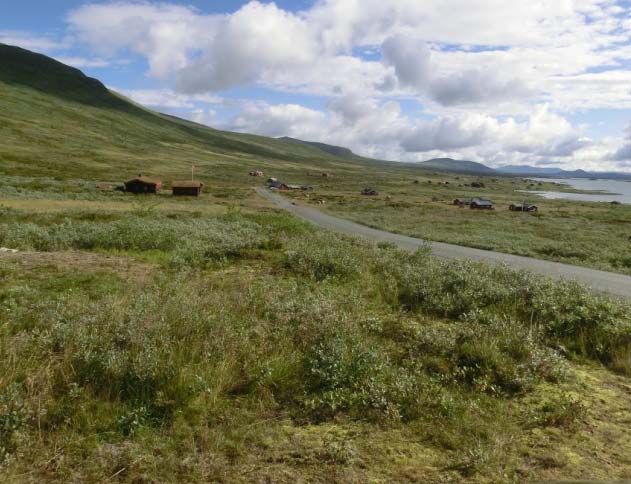 Nord for Yddin ligg vide flater kring 900 1100 moh. til Kjølastølen i nord og Skagsflye i nordaust. Denne vidda blir brote av Kjølafjellet og Gravfjellet i vest.