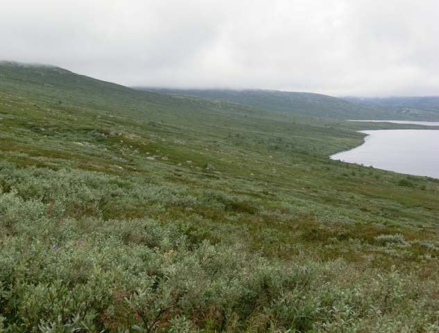 Så søkk terrenget igjen ned i den tronge Heimdalen der øvre Heimdalsvatnet ligg 1088 moh. Fattig sandstein dominerer området.