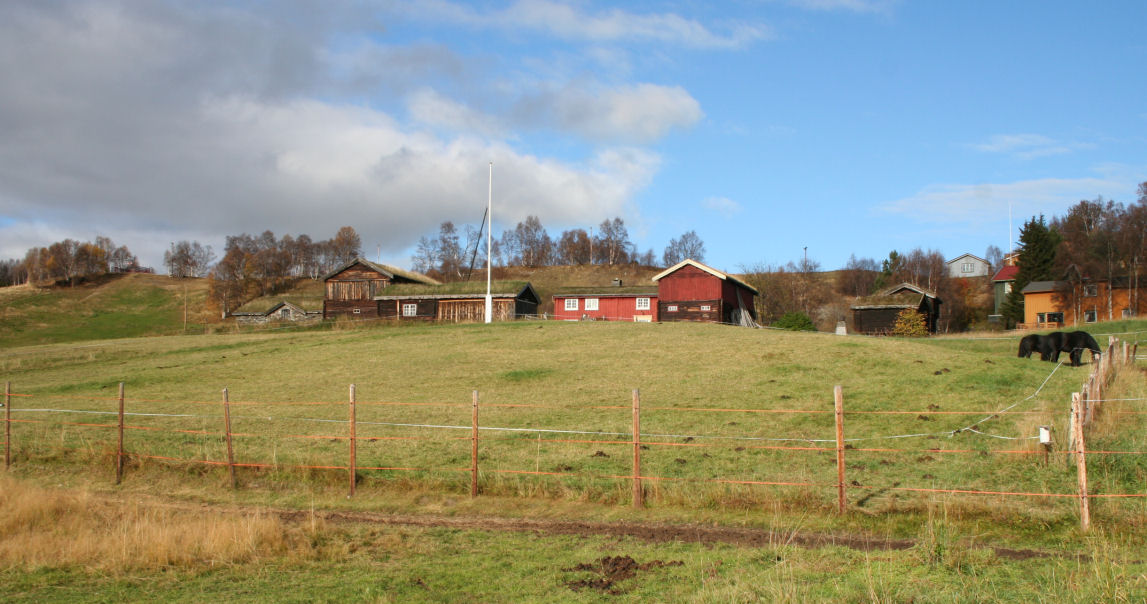 Figur 2. Åsengården er et samlet, nesten lukket tun som ligger fritt og åpent midt i byen, fremdeles omgitt av betemark for dyra.