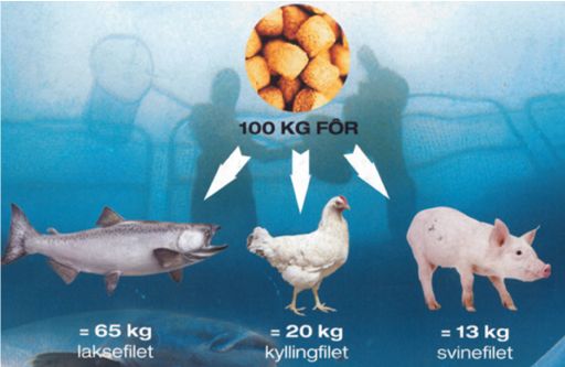 går til landbasert matproduksjon BÆREKRAFT & RESSURSUTNYTTELSE I MAT(PROTEIN-)PRODUKSJON!