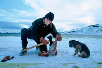 Harald og Silvias bilder skal bli illustrasjoner i ekspedisjonsberetningen som Harald er godt i gang med. -Blir det flere turer?