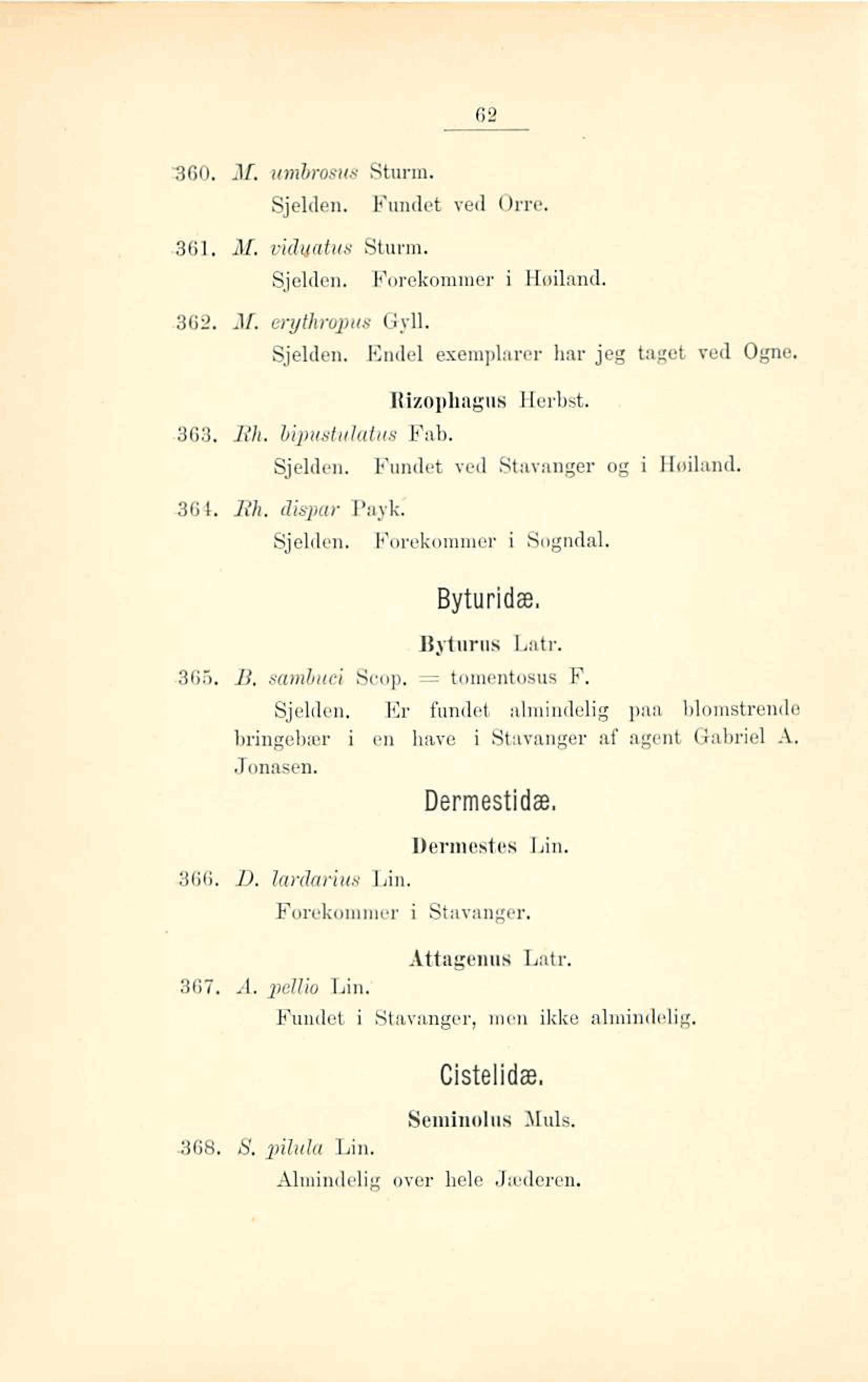 360. M. umbraszc8 Sturm. Sjelden. Fundet ved Orre.,361. M, tiduatus Sturm. Sjelden. Forekommer i Heiland.,362. dl. ~ J ~ ~ T O Gy11. ~ ~ C S Sjelden. Endel exemplarer har jeg tagot ved Ogne.