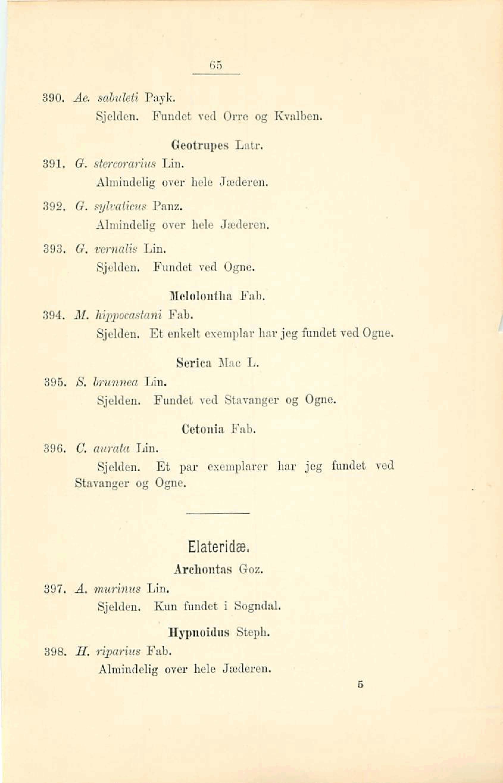 ved 0- og Kvalben. Almindelig over hele Jtederen. 3951. G, syit'alicu8 Panz. Alniindelig over hde J~deren. lolslontha Fab. 394. M. 7iipeastani Fab. Sjelden. Et enkel t cxernldm har jeg &det ved Ogne.