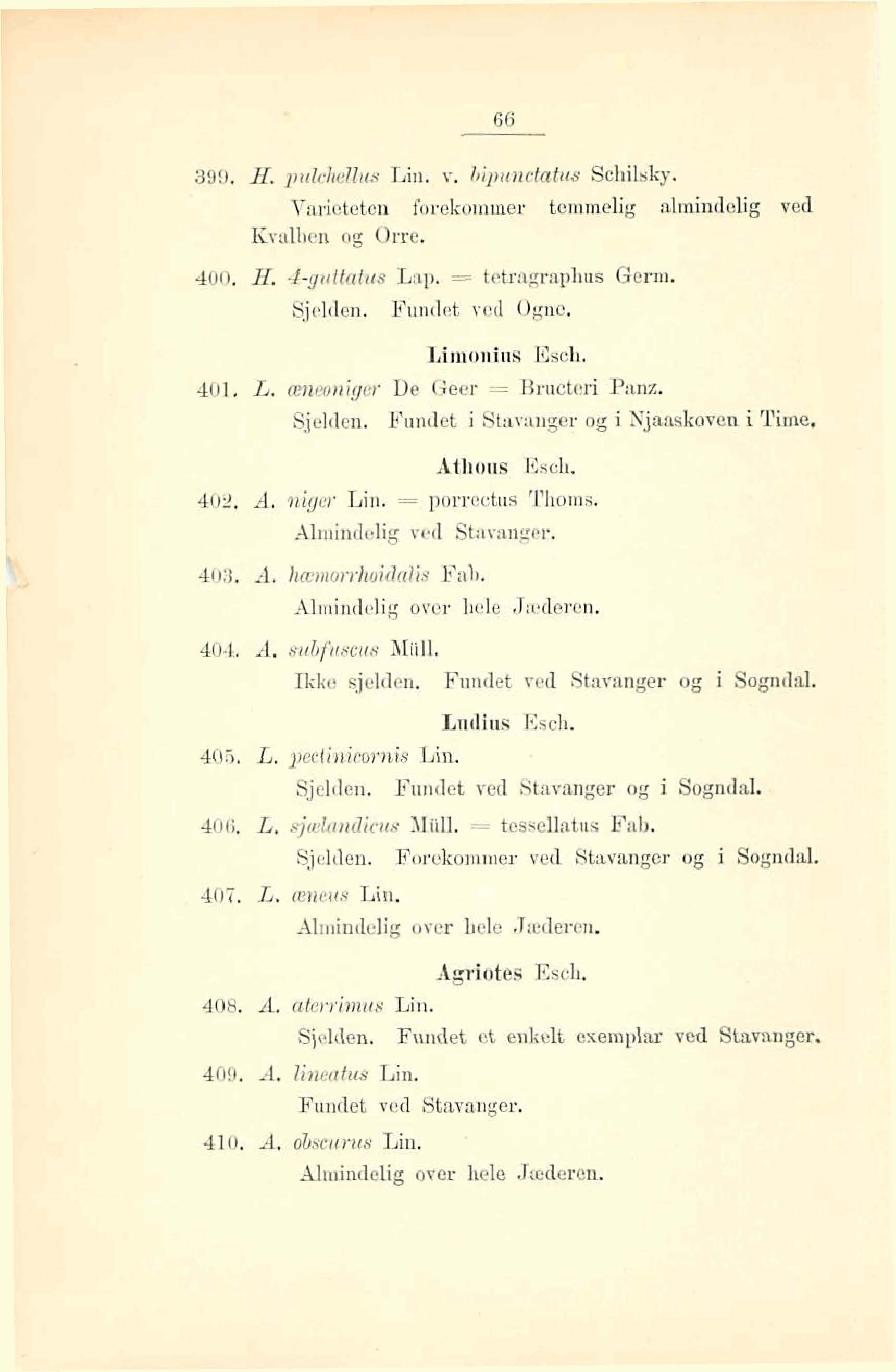 899. H. pu M m Lin., T. bipunctutus Schiliiky. Varioteton forekommer temmelig almiadelig ved Kvdben og Orre. 400. H. 4giittatus Lali, = tetragraplins Gem. Sjelden. Funtlot ved Ognc. Limuiiiinsi Esch.