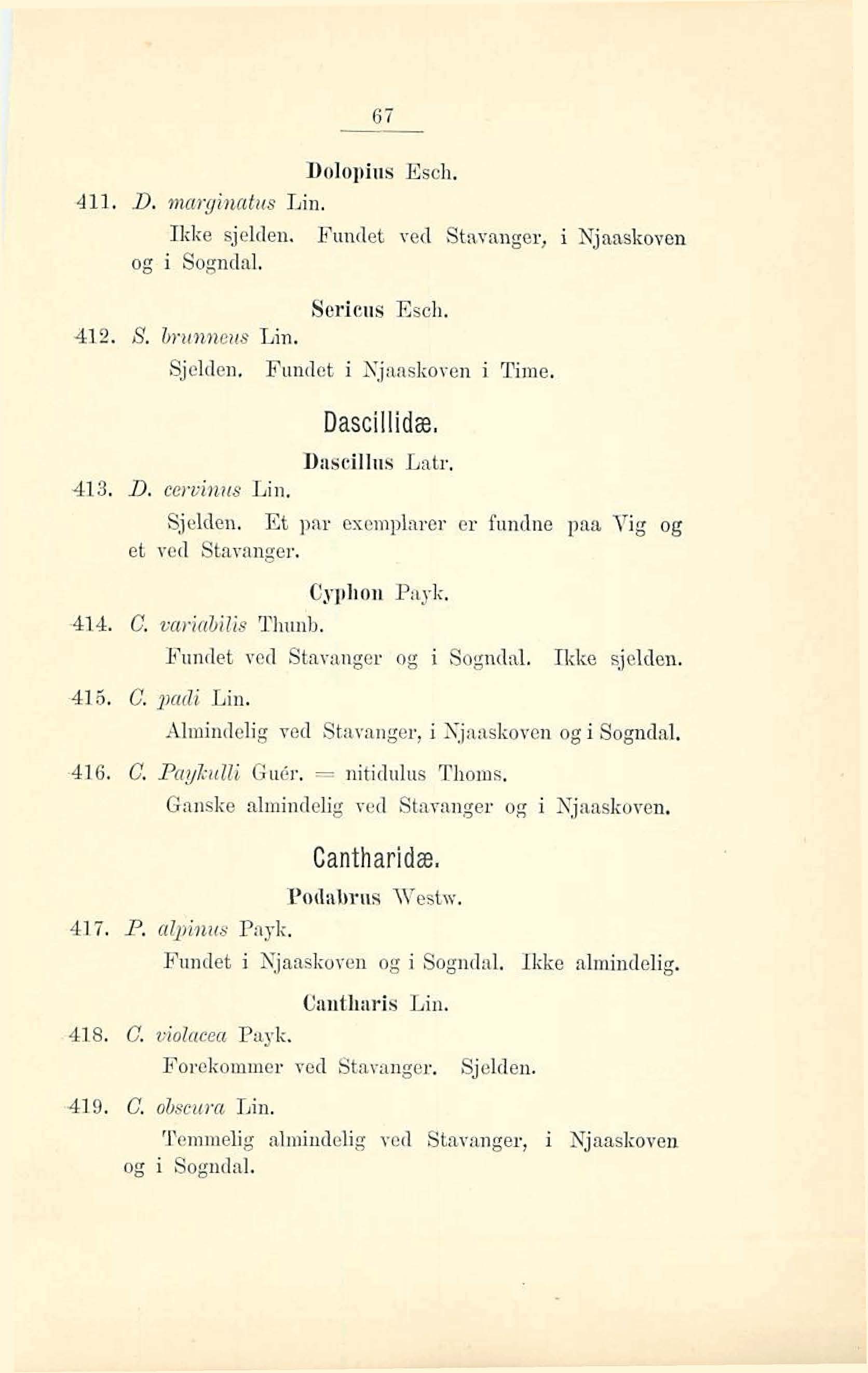 DoIopins Esch, 411. D. marginatm Lin. Ikke sjelden. Fundet vet1 St~vtvauger, i Njaaskoven og i Sogndal. Soriciis Escli. 412, S. bwnneics Lin, Sjelden. Fundct i Kjaaskoven i Time. Dnscillris Latr,,413.