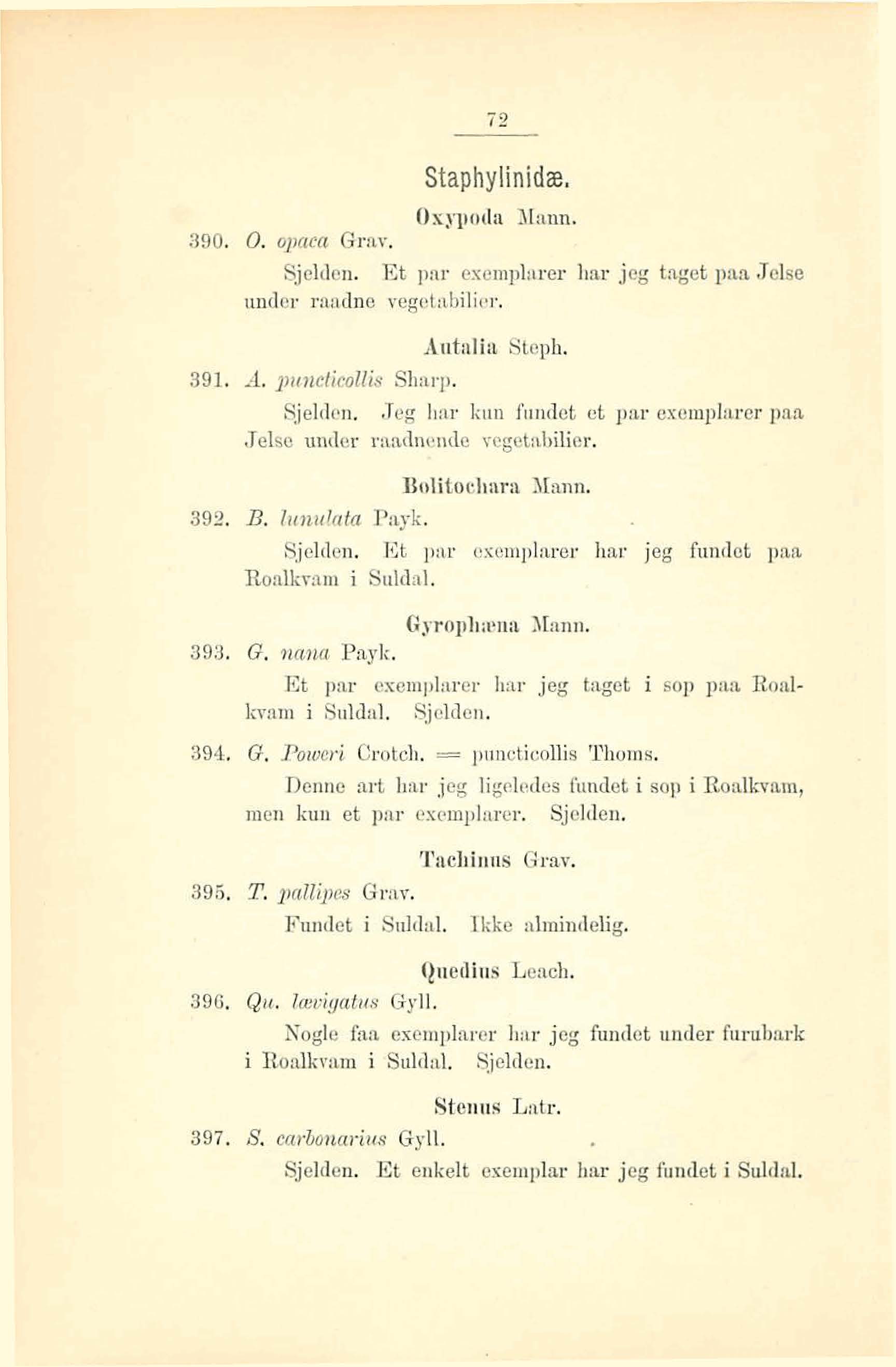 Staphy Iinidæ, Oxypoilu Mann. 390. Q. opma Grav. Sjelden. Et par exempluor hm jag Wet pw J&e ander raaibe vqetnbiliar. Autalia Steph, 391. A. pt~mkkouh Sharp. Sjaldon.