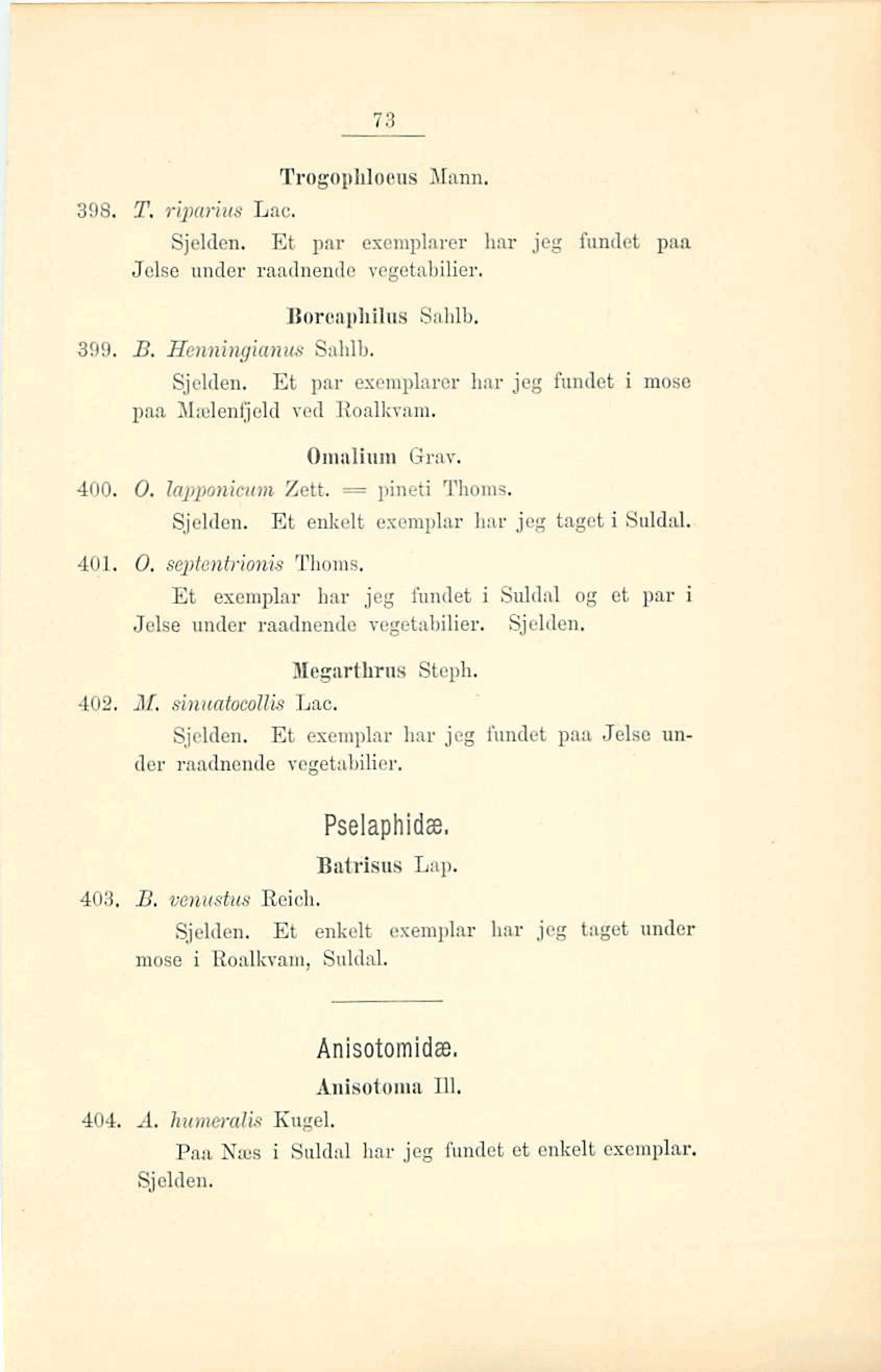 I li-:. Trogophloitns Mam. 308. T. riparim LL~c, Sjelden. Et pm esemplarer hm jeg fundet paa Jokst under r~dmde vegetabilim. Bmaphh Sahlb. 399. B. Hm~iqianzcs Sdilb. Sjelden. Et p r exemplarer har jeg fund& i -e paa Mrnle~~@ld ved Roalkvarrm.