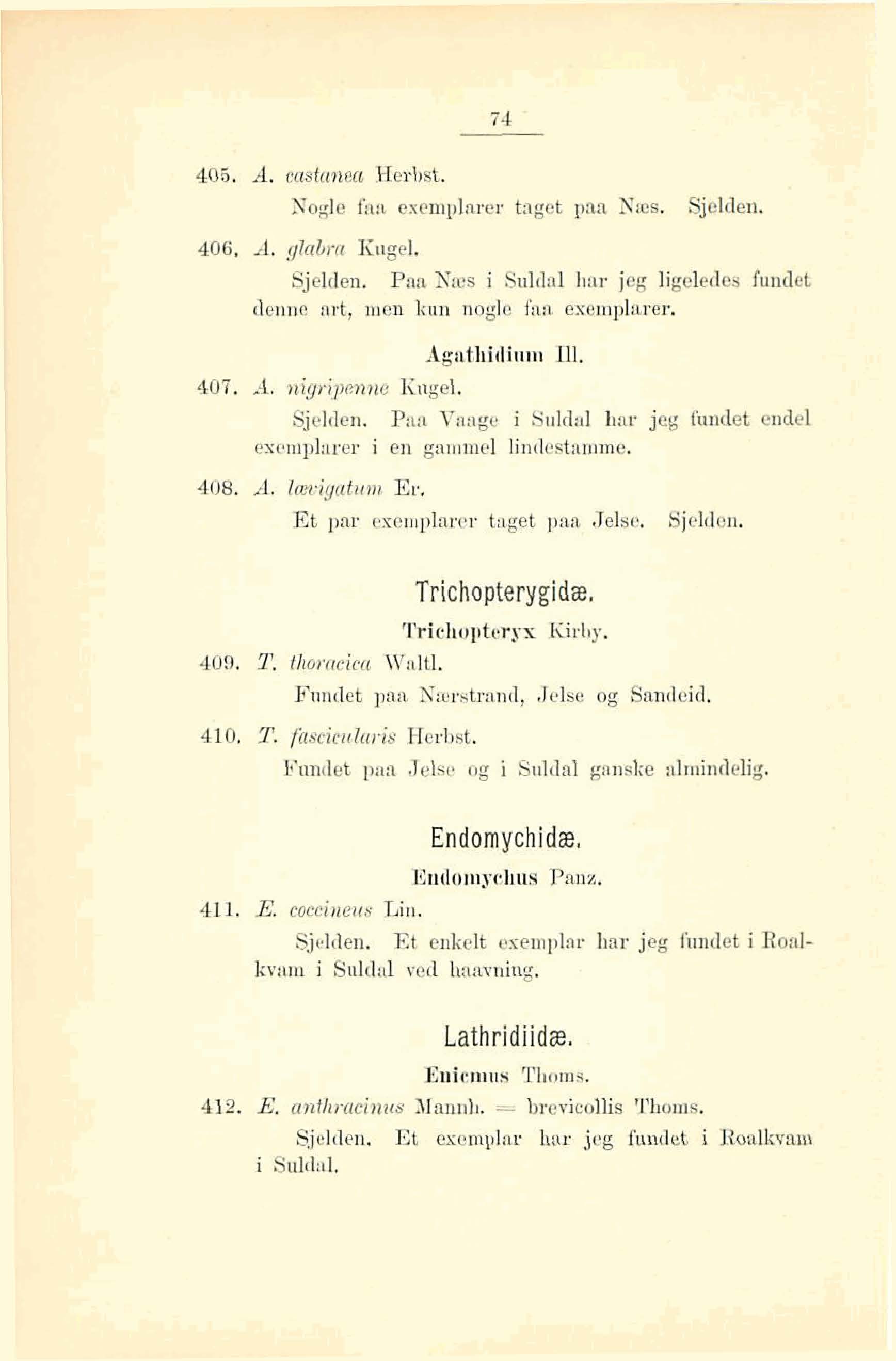 406. A. cmtanea Herbst. Nogle fna excmplmer taget prtn Nries. @eldm. 406. A. glabrcc Kiigel. Sjelden. Piur Nws i Suldal har jeg ligledes fundet denne art, men lcun noglo faa exomplarer.