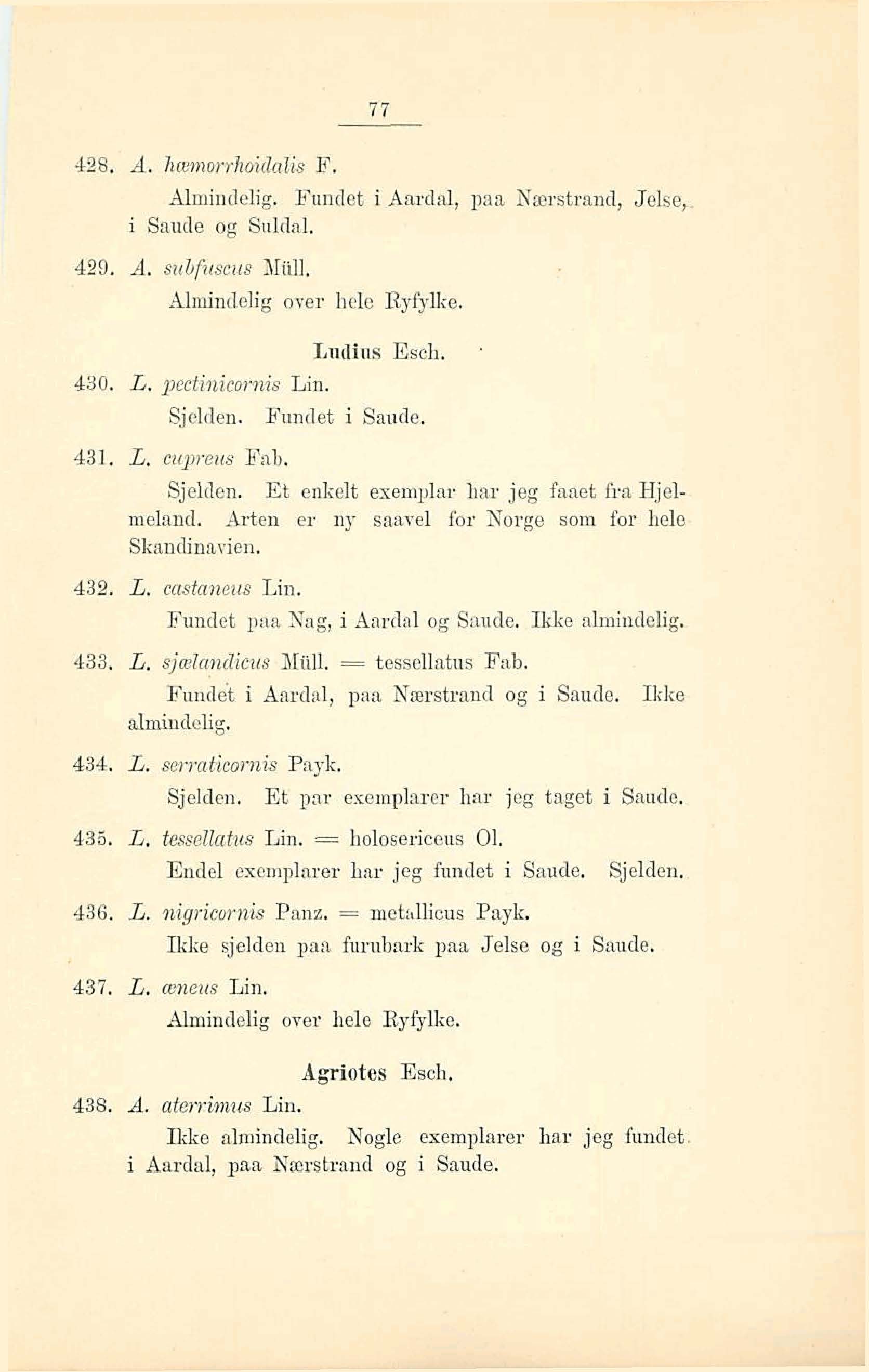 &B, d. hmwh~idalk F. Alrnindelig. Fundet i Attrdd, paa N~rstrand, Jehe,. i Saude og Suldal. 429, A. stciifzc9~~s X.llll, Alinintlolig over hele Ryfylke. Lrrilirrs Ed. 430. L. peceiniemzis Lin.