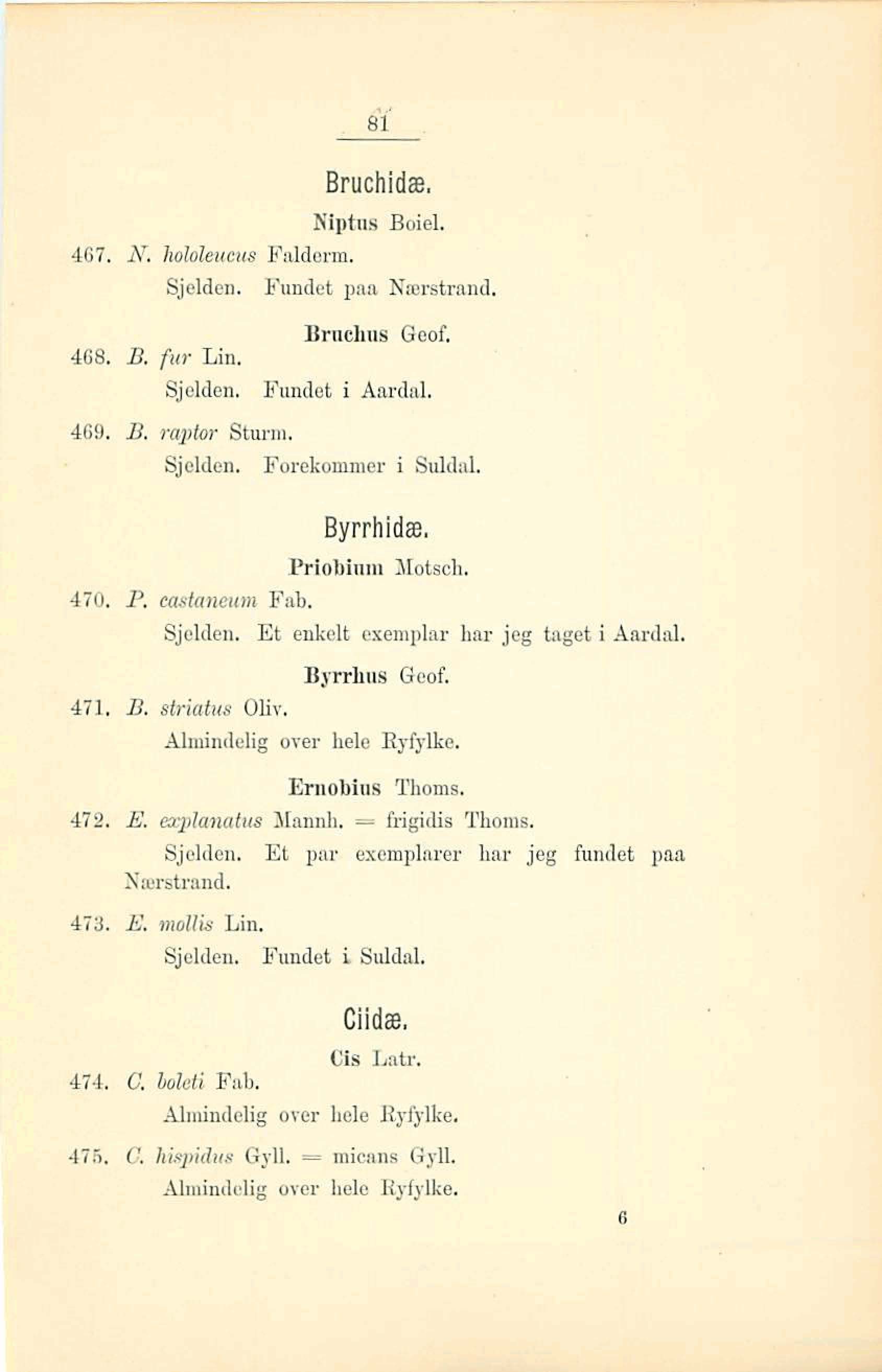 Bmchas Qeof, 408. B, fur Lin. Sjalbn, Fundet i Aardal. 469. B. raptor Stum. Sjolden. Forekommer i Sulcld. Priobhm Notsch. 470. P, caritamm Fab. Sjelden. Et enkelt exemplar har jeg &et ByrrZiua Qeof.