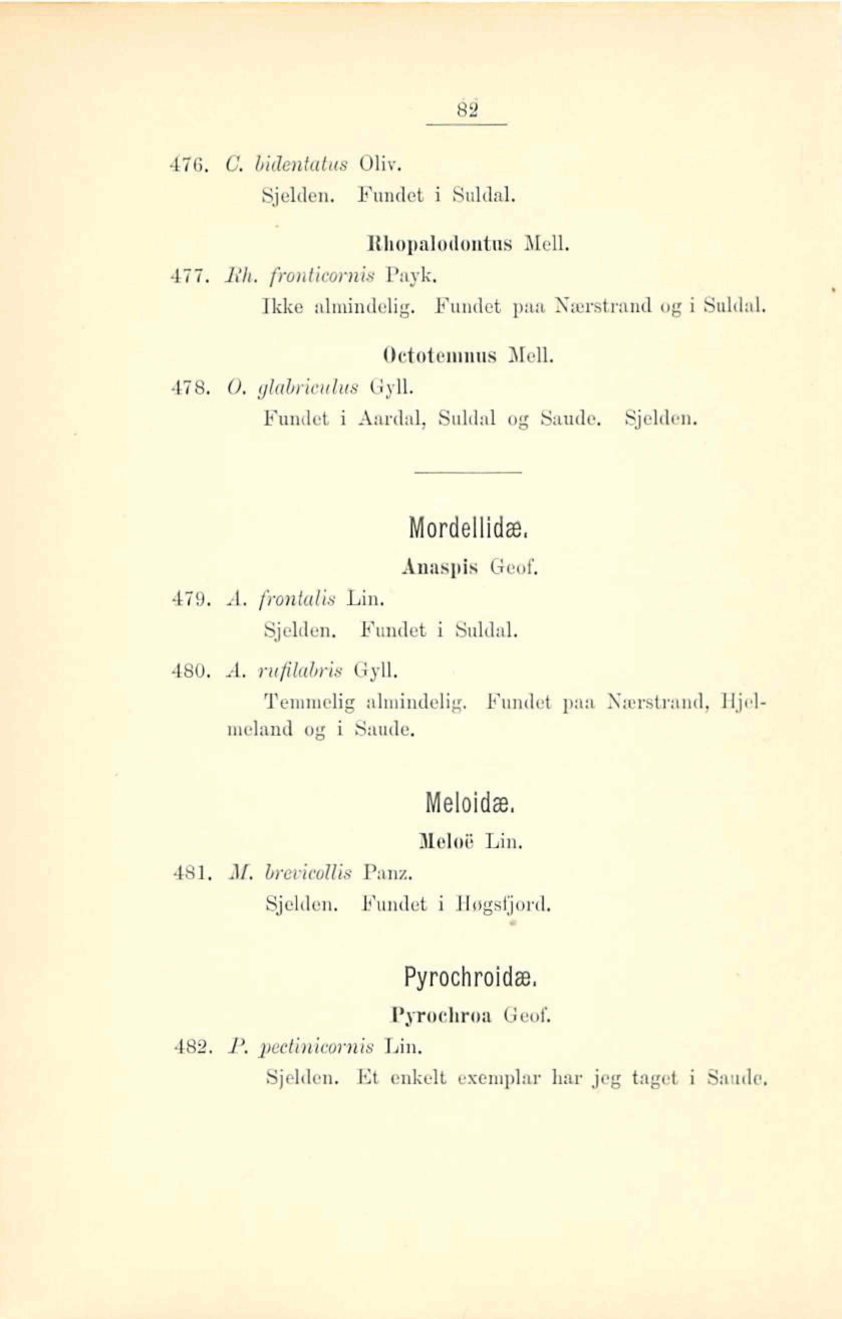 476. C. bihtatics Oliv. Sjelden. Etindet i Buldal. RIiopaIo ilontas Me11. 477. Rh. fio~itiwrnia Pnyk. ntka dmindelig. findet pm Nærstrand og i Snldd. Octoteriiiius NoU. 478. O, glu~czceus Gyll.