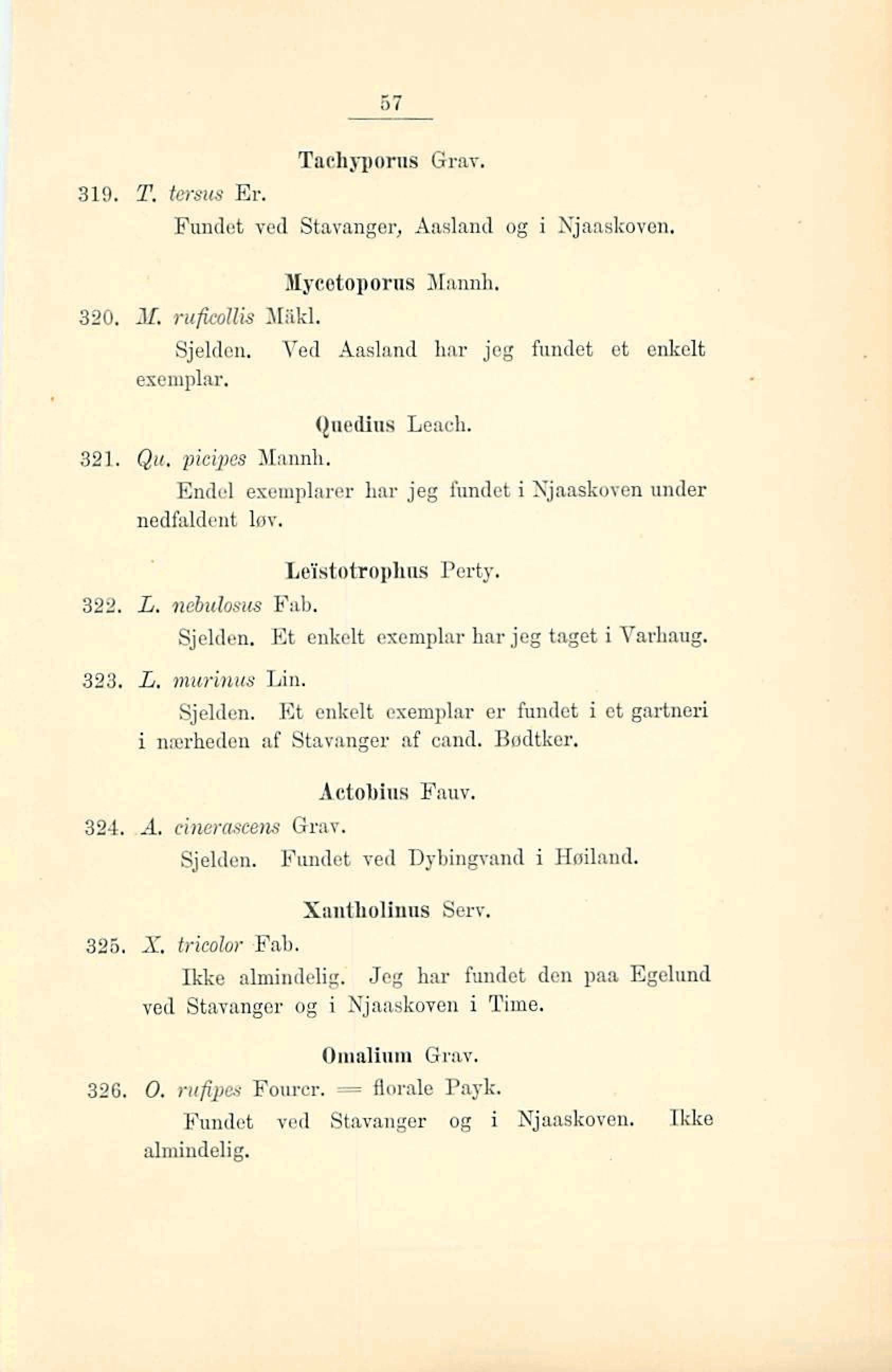 67 I Tachypom Grav. Fundet ved Stavanger, Amland og i Njaaskovon, Mycetagom~ Nad, 340. M. pu*leh 3Iiikl. Sjelden. Ved Analand bar jeg fundet et enkelt exemplar. Qnedins Leach. 331. &u. picipcs Mamlk.