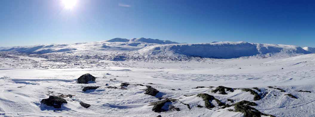 HYTTE på fjellet over Fjord-Norge Til deg som vil oppleve fantastisk natur og er en livsnyter: Nå har du sjansen!