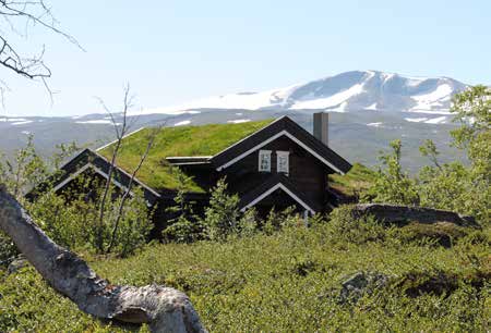 Dette er en eksklusiv mulighet! Grotli Utvikling AS selger tomter på det norske høyfjellet; en natur som nesten ikke er tilgjengelig for hyttebygging i Norge lenger.