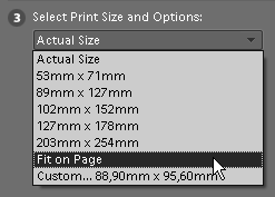 Altså at vi skriver ut ett og ett bilde. 3 Select Print Size and Options, er ut fra forhåndsvisningen feil valg.