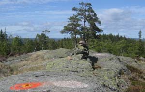 på toppen av første lange bakke : Skogsvei/sti nesten helt