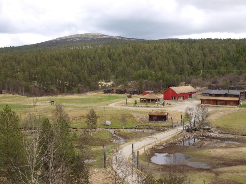 Parkér ved Rondetunet og følg skiltene. En drøy time opp i middels tungt terreng.