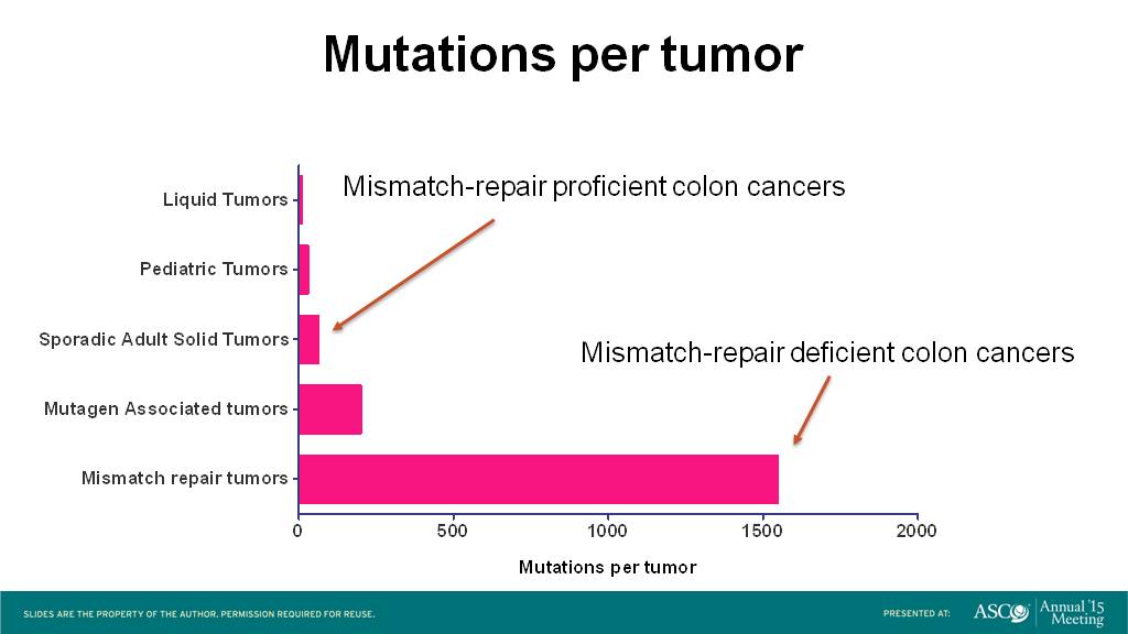 Mutations per tumor Presented By