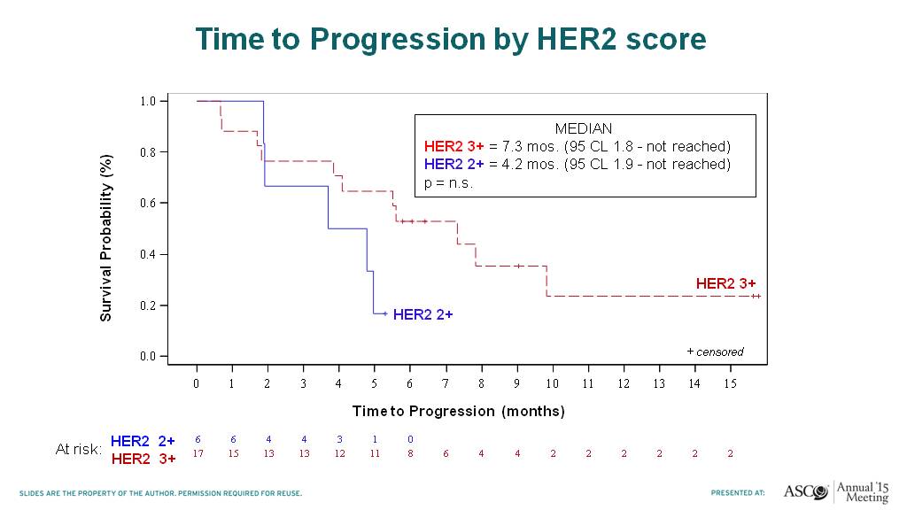 Time to Progression by HER2 score Presented