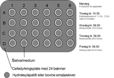 dentalt plakk og er nødvendig for sykdomsutvikling. Plakk er en typisk biofilm som består av mikrobielle mikrokolonier omgitt av en ekstracellulær matriks.