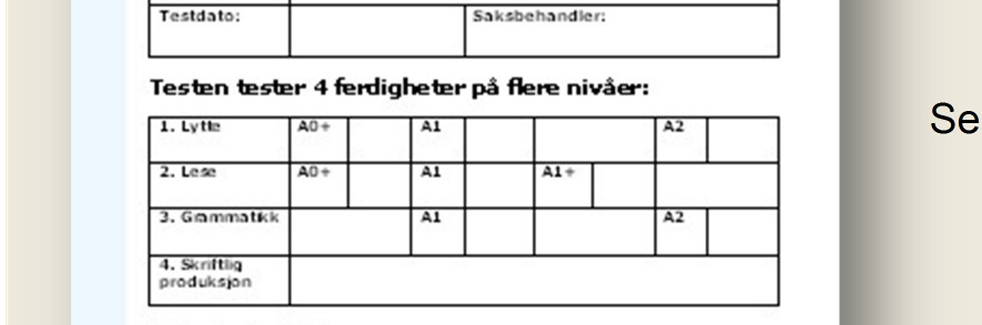 avdekke språknivå i forhold til jobbkrav og kursønsker.