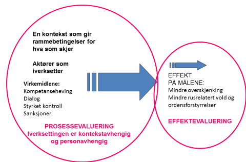 Problemstillinger Todelt evaluering Helsedirektoratet ga SIRUS oppdrag om å evaluere SALUTT-prosjektet.