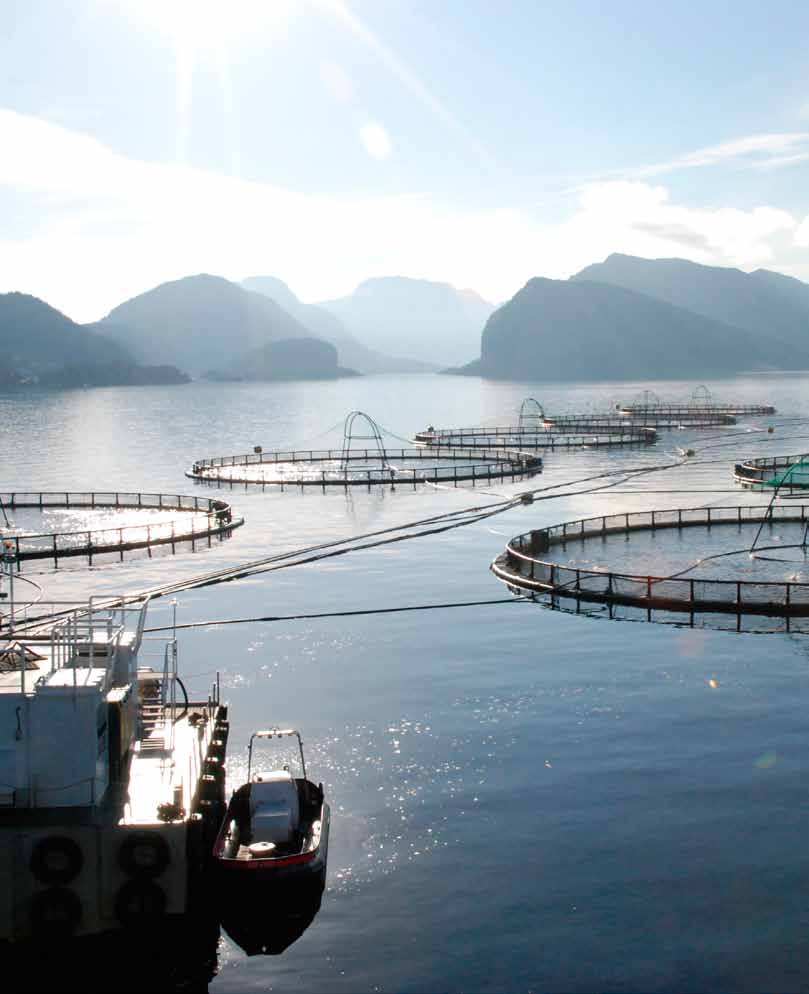 vårt felles mål Med lov skal havet avluses All Time High i EWOS Leverte ris og ros til næringen Må vise at vi har skapt eventyr før Gjør alle til lags Sen glemsel og hurtig læring Har fiskens helse i