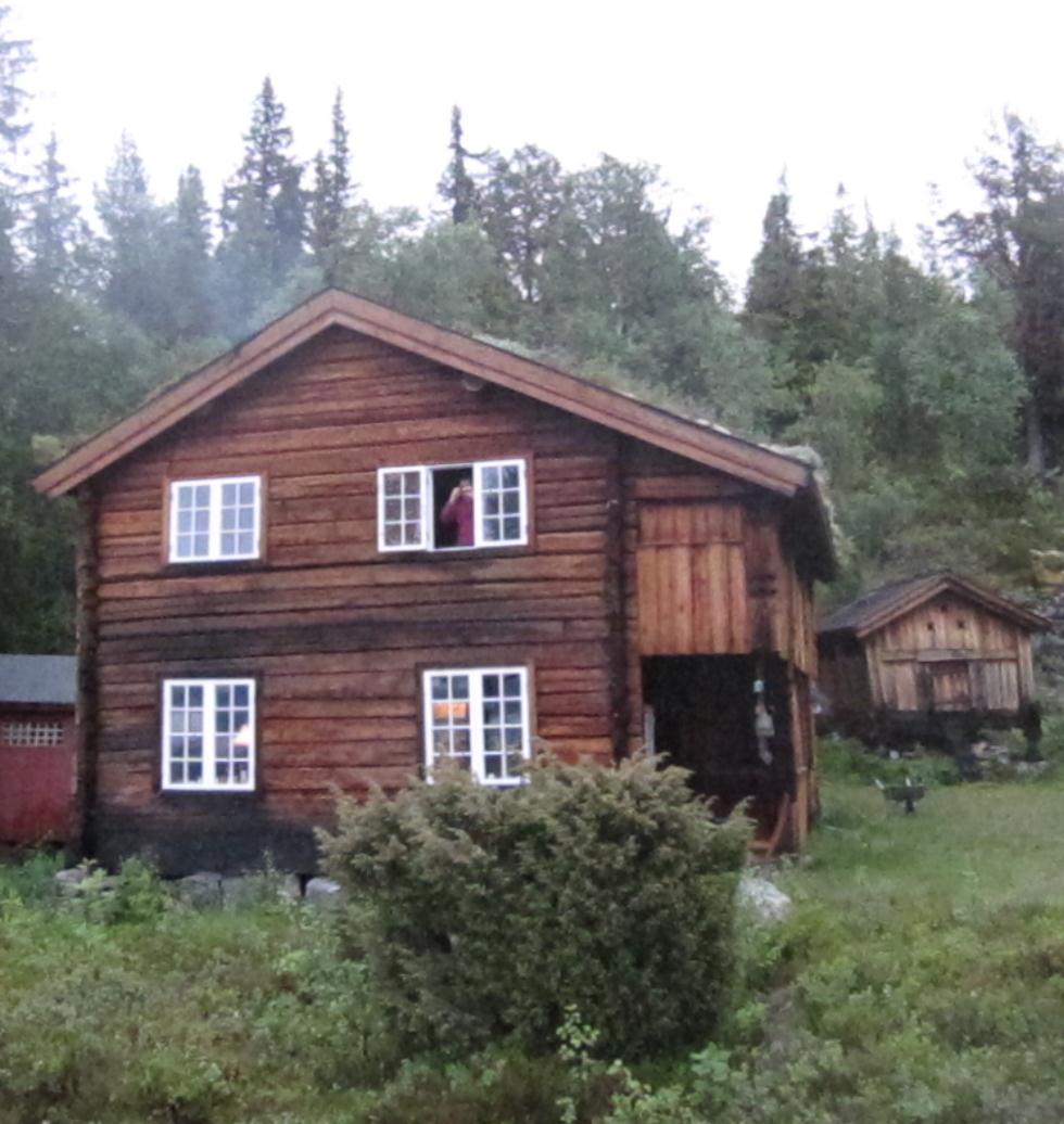 Konsekvenser for lokalsamfunnet: Autentisk fritidshus Rauland i Telemark De moderne fritidshusene er i dag den viktigste overnattingsnæringen i Innlandet!