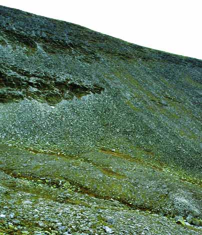 GRÅSTEINEN 4 SIDE 11 R Fig.8.To morenerygger (M) på nordsiden av Storsølnkletten. Endemorenene er dannet av en lokal botnbre som lå til venstre på fotografiet.