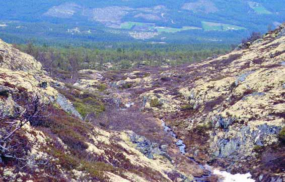 GRÅSTEINEN 4 SIDE 15 S Fig. 15. Fjellmasivet Vordengvorda har flere overløpspass mellom Haustdalen og Folldalen.