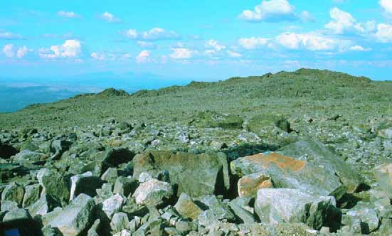 Terrassenivået til venstre for koia i Finnbudalen representerer 740 m o.h. dannet under innlandsisen.