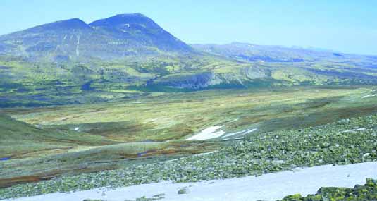 Storsølnkletten sett fra området ved Breidsjøkinna (1388 m o.h.).