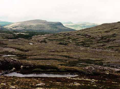 GRÅSTEINEN 4 SIDE 37 a b B R B B B Fig. 43. a: Botnmorener (B) i de midtre deler av botndalen på nordsiden av Storsølnkletten.