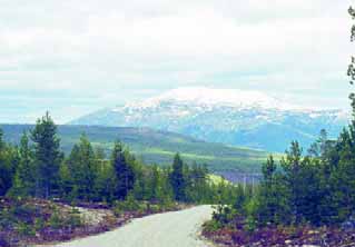 GRÅSTEINEN 4 SIDE 5 Forord Det var etter initiativ fra Alvdal kommune at Norges geologiske undersøkelse (NGU) startet en ny kvartærgeologisk registrering av løsavsetningene i kommunen.