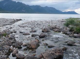 Beskrivelse av lokalitetene, fangst og tetthet av laks- og ørretunger/ m 2 ved en omgangs fiske i Gunnesdalselva. Forkortelser er forklart i metodekapitlet.