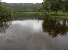 Laksen produseres primært på hovedinnløpselva og utløpselva, og til sammen har vassdraget dermed en