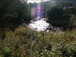 Det er imidlertid ingenting som tyder på at denne elva har et produktivt areal som kan fostre en sjøørretbestand. Skårneselva Elva har en svær foss ca m ovenfor munningen i havet.