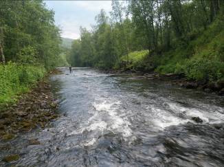 Beskrivelse av lokalitetene, fangst og tetthet av ørretunger/ m 2 ved en omgangs fiske i Lakselva i Misvær. Forkortelser er forklart i metodekapitlet.