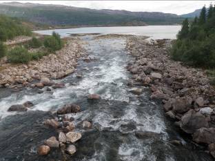 Beskrivelse av lokalitetene, fangst og tetthet av laks- og ørretunger/ m 2 ved en omgangs fiske i Helgåa. Forkortelser er forklart i metodekapitlet.