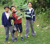 Elever i Stord og Comalapa kartlegger biologisk mangfold Barns kunnskap om lokale arter gir et unikt grunnlag for vern om det biologiske mangfoldet.