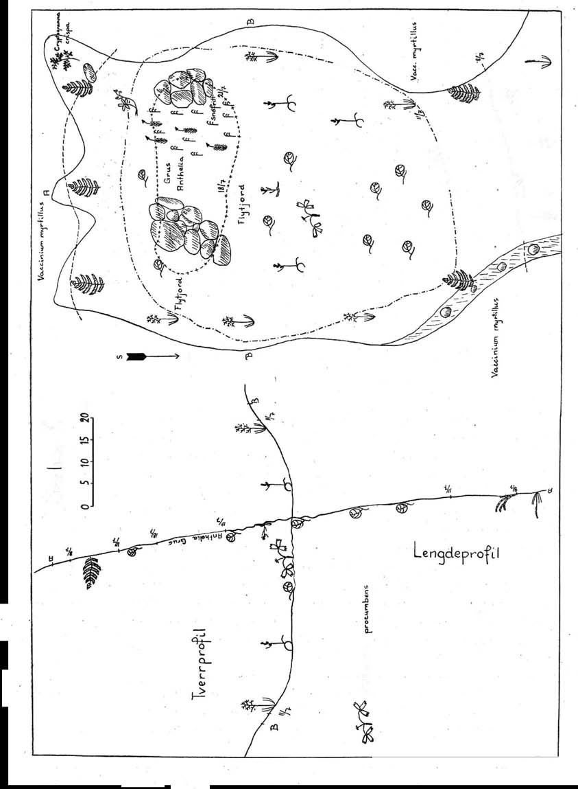 29 Tynn torv med Saix herbacea Tynt ag råhumus O cm grus och stein Ur Profi 5. Eaix herbacea bestanden med tiegg av Vioa bifora, V. paustris og Cerastium trigynum.