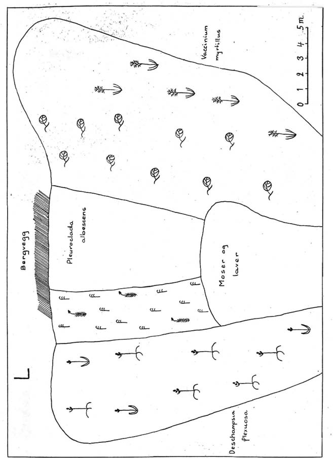 33 Tverrprof. fra. Øvre d. Tverrprof fro.. nedre d.e/ O 5 10 15!10 JS m. Snøe.e M Snøeie M. Nordsiden av Drommen. Beiggenhet i en trang køft fra skoggrensa (850 m) og ca. 150 m oppover.