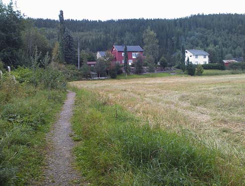 Opp langs Moldelva ligger en gapahuk som skolen og barnehagen benytter. Fotgjengerkryssing av fv. 17 er øst for brua over elva. Foto viser snarveg fra Coop prix til idrettsplassen og skole.