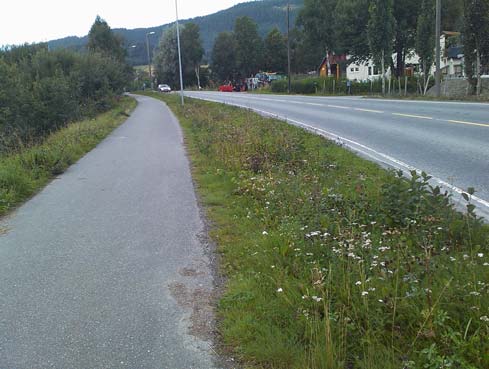 Fra skolen og vestover til bensinstasjonen er det trangt, med mange hager som grenser ut mot fylkesvegen.